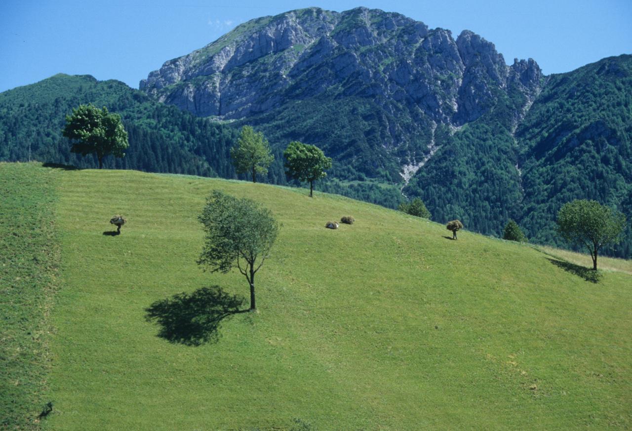 Albergo Belvedere Collio Dış mekan fotoğraf
